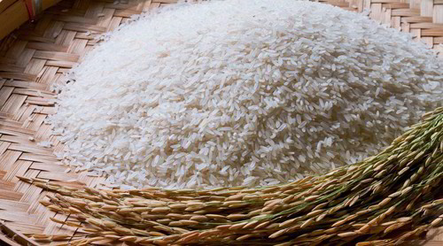 Cơ hội gia tăng xuất khẩu gạo Việt vào thị trường Trung Quốc