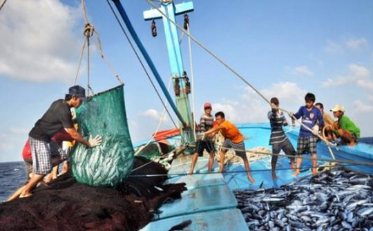 Xử phạt vi phạm quy định về xuất, nhập khẩu thủy sản sống