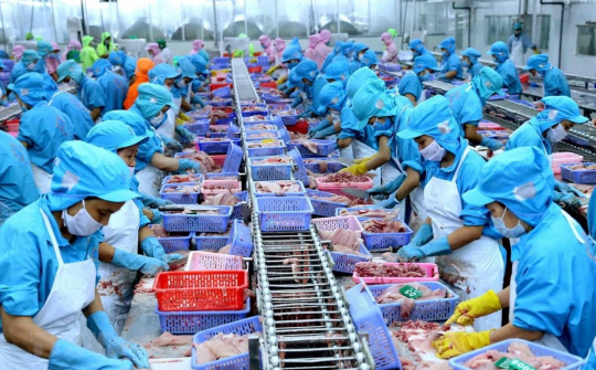 Trung Đông, châu Phi: Hai thị trường tiềm năng nhưng đầy thách thức với doanh nghiệp Việt
