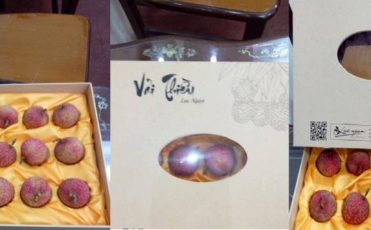 Vải thiều hữu cơ đóng hộp, giá 200.000 đồng 12 quả