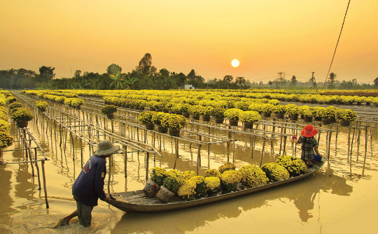 Check-in Sa Đéc, làng hoa lớn nhất miền Tây