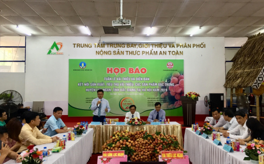 Vải thiều Lục Ngạn sắp đổ bộ Thủ đô, phục vụ người tiêu dùng