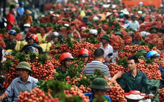 40 doanh nghiệp Việt Nam xúc tiến xuất khẩu sang Trung Quốc