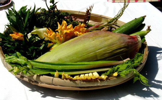 Đắm đuối... chuối tơ!
