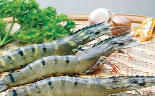 VKFTA - Lực đẩy giúp xuất khẩu tôm Việt sang Hàn Quốc