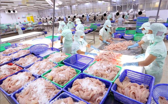 Xuất khẩu cá tra sang ASEAN tăng 14,6%