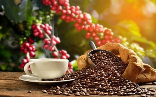 Việt Nam là nguồn cung cà phê lớn nhất cho Tây Ban Nha
