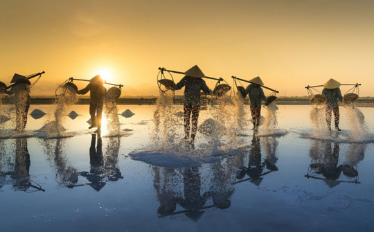 Đẹp ngỡ ngàng cánh đồng muối Bạch Long