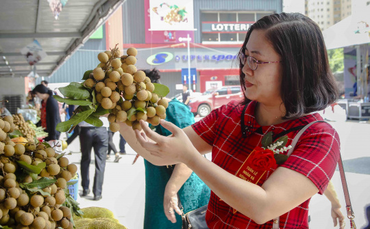 Nhãn Sơn La đẩy mạnh tiêu thụ toàn miền Bắc qua kênh siêu thị Big C
