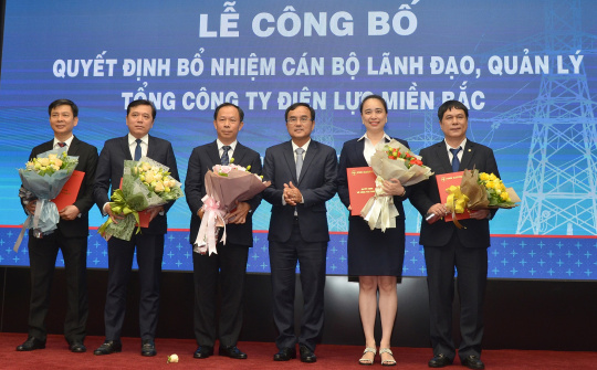 EVNNPC bổ nhiệm nữ Tổng giám đốc