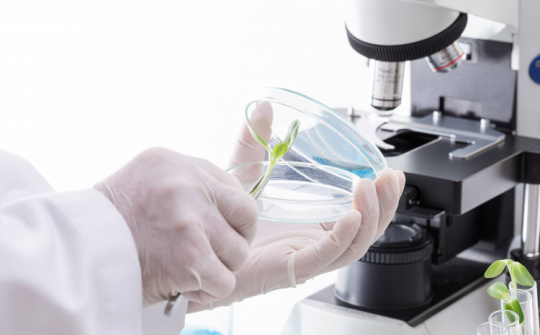 Hướng dẫn về phạt vi phạm trong góp vốn hoạt động khoa học và công nghệ