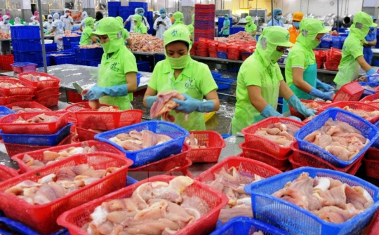 Xuất khẩu thủy sản có thể đạt 5 tỷ USD 6 tháng cuối năm