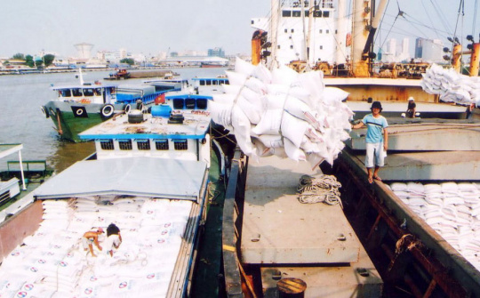 Thêm 42 doanh nghiệp được cấp phép kinh doanh xuất khẩu gạo