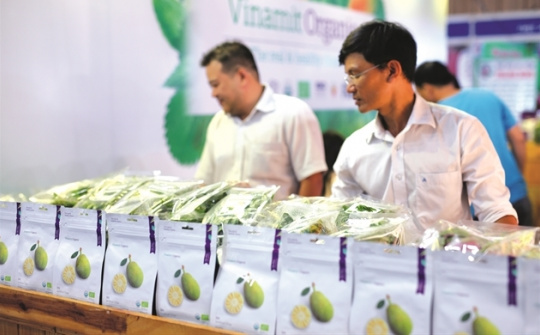 Vinamit bắc cầu Organic vào Trung Quốc