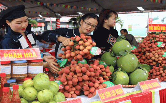 Bắc Giang: Gần 11,6 tỷ đồng hỗ trợ phát triển thương hiệu nông sản hàng hóa cấp tỉnh