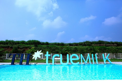 TH True MILK đặt mục tiêu mở rộng đàn bò sữa lên 200.000 con