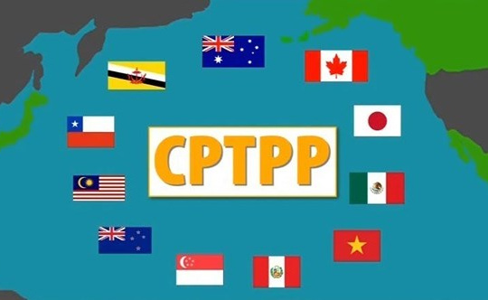 Với CPTTP, Việt Nam chuyển từ nhập siêu sang xuất siêu