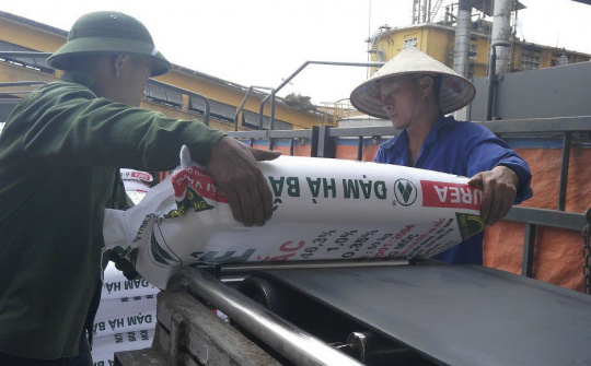 Đề xuất loạt kiến nghị, Đạm Hà Bắc kỳ vọng "lật ngược tình thế" từ lỗ sang lãi hàng chục tỷ đồng