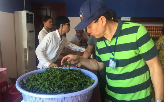 Chuyện chiều thứ 6: Người xứ Bắc ở Phú Quốc