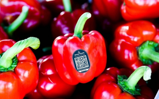 Thương hiệu nông sản Việt và lời giải Blockchain