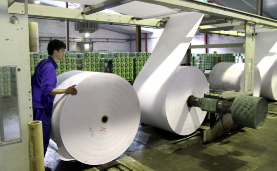 Ngành giấy nhận diện 2 vấn đề cần giải quyết ngay nếu muốn phát triển bền vững