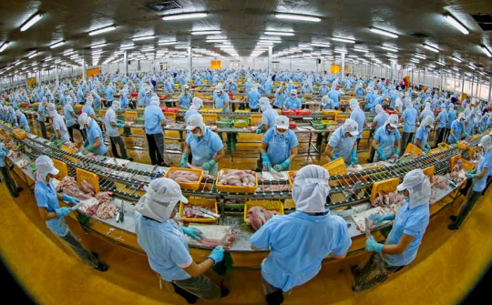 Làm gì để doanh nghiệp hiểu đúng, hiểu sâu về CPTPP?