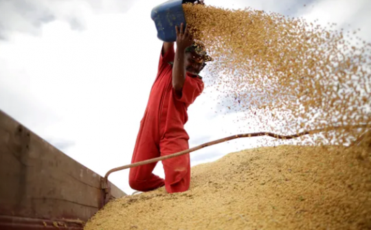 Trung Quốc ngừng mua nông sản Mỹ