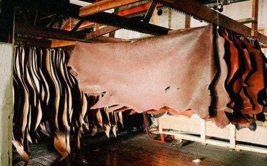 Ngành công nghiệp da Australia chạm mức thấp kỷ lục