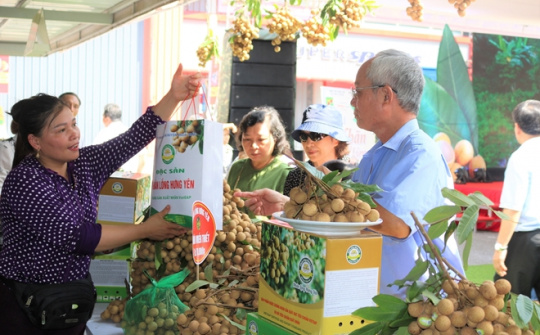 BigC kết nối, tiêu thụ đặc sản nhãn lồng Hưng Yên