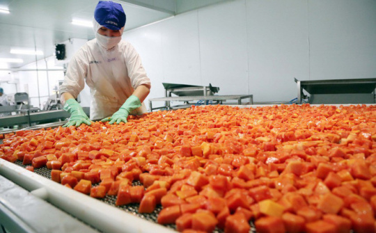 Đồng Giao chính thức đưa Doveco Gia Lai đi vào hoạt động