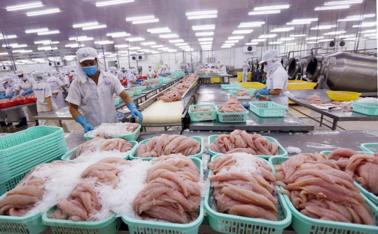 Dự báo xuất khẩu cá tra sang Malaysia sẽ tăng 30%