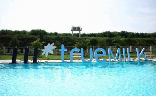 Đầu tư lớn, TH rót hơn 88 triệu USD sang Australia