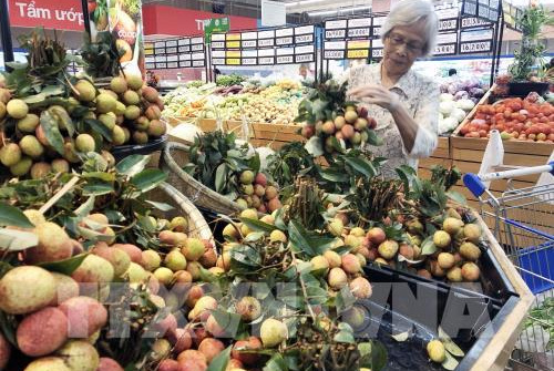 Nông sản Việt thích ứng với thị trường chính ngạch