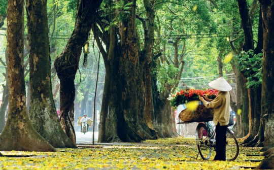 Thời tiết 23/9: Bắc bộ nắng hanh khô, se lạnh vào sáng sớm