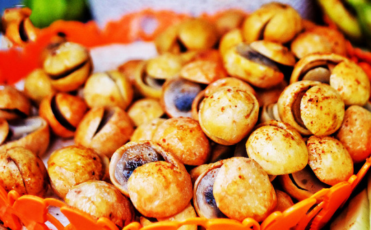 Chìm trong thu Hà Nội qua những thức quà xưa