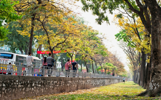 Thời tiết 28/9: Bắc Bộ hanh khô, Tây Nguyên và Nam Bộ có mưa dông