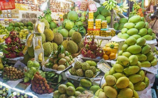 Xuất khẩu rau quả giảm hơn 20% trong nửa đầu tháng 9