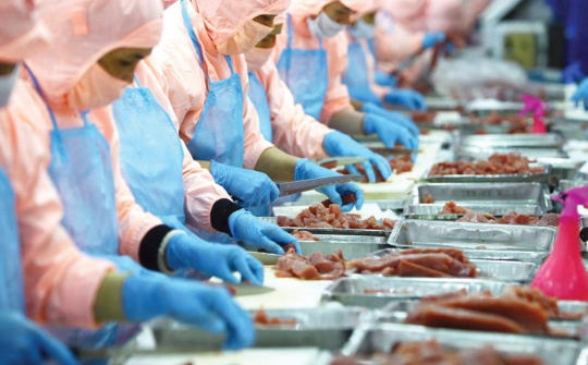 Hơn 600 doanh nghiệp đủ điều kiện xuất khẩu thủy sản sang Trung Quốc