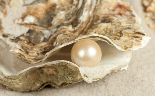 Vì sao ngọc trai luôn là trang sức đắt giá hàng trăm tỷ?