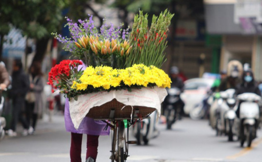 Thời tiết 16/1: Bắc Bộ trời trở lạnh đón không khí Tết