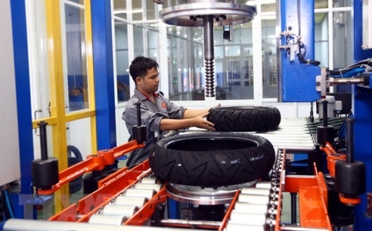 Casumina báo lãi sau thuế 53 tỷ đồng năm 2019, gấp 9 lần cùng kỳ