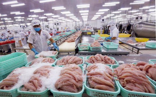 Xuất khẩu cá tra khởi sắc ngay từ quý đầu năm