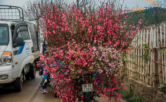 Những chuyến xe mang sắc xuân đi khắp Hà Nội