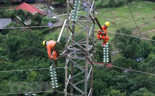 Sức xuân trên công trường đường dây 500kV mạch 3