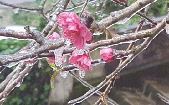 Thời tiết 29-1: Bắc bộ tiếp tục rét đậm, vùng núi cao xuất hiện băng giá