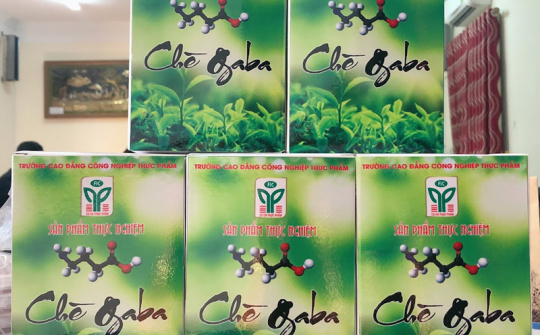 Ứng dụng công nghệ sinh học sản xuất chè lên men,  tạo ra sản phẩm mới phục vụ thị trường nội địa và đẩy mạnh xuất khẩu