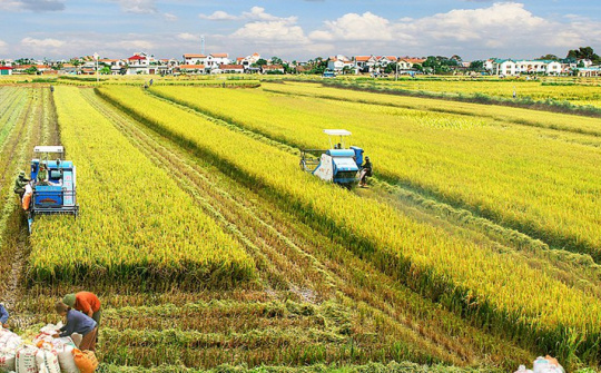 Một số giải pháp nhằm phát triển nông nghiệp Việt Nam