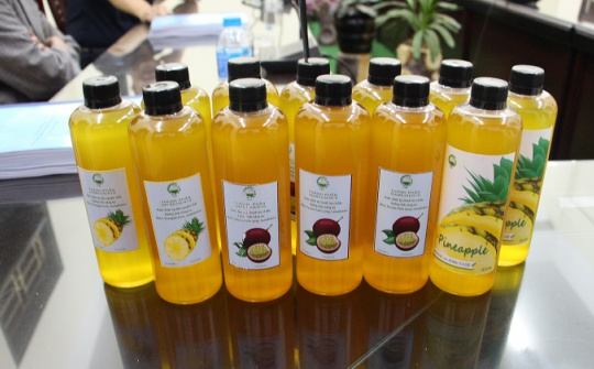 Ứng dụng công nghệ sinh học sản xuất isomaltulose từ đường mía