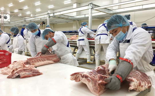 Mở rộng nhập khẩu thịt lợn từ 50 doanh nghiệp của Mỹ, Pháp, Bỉ