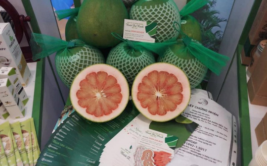 Thanh long, Bưởi da xanh lên kệ siêu thị tại Canada